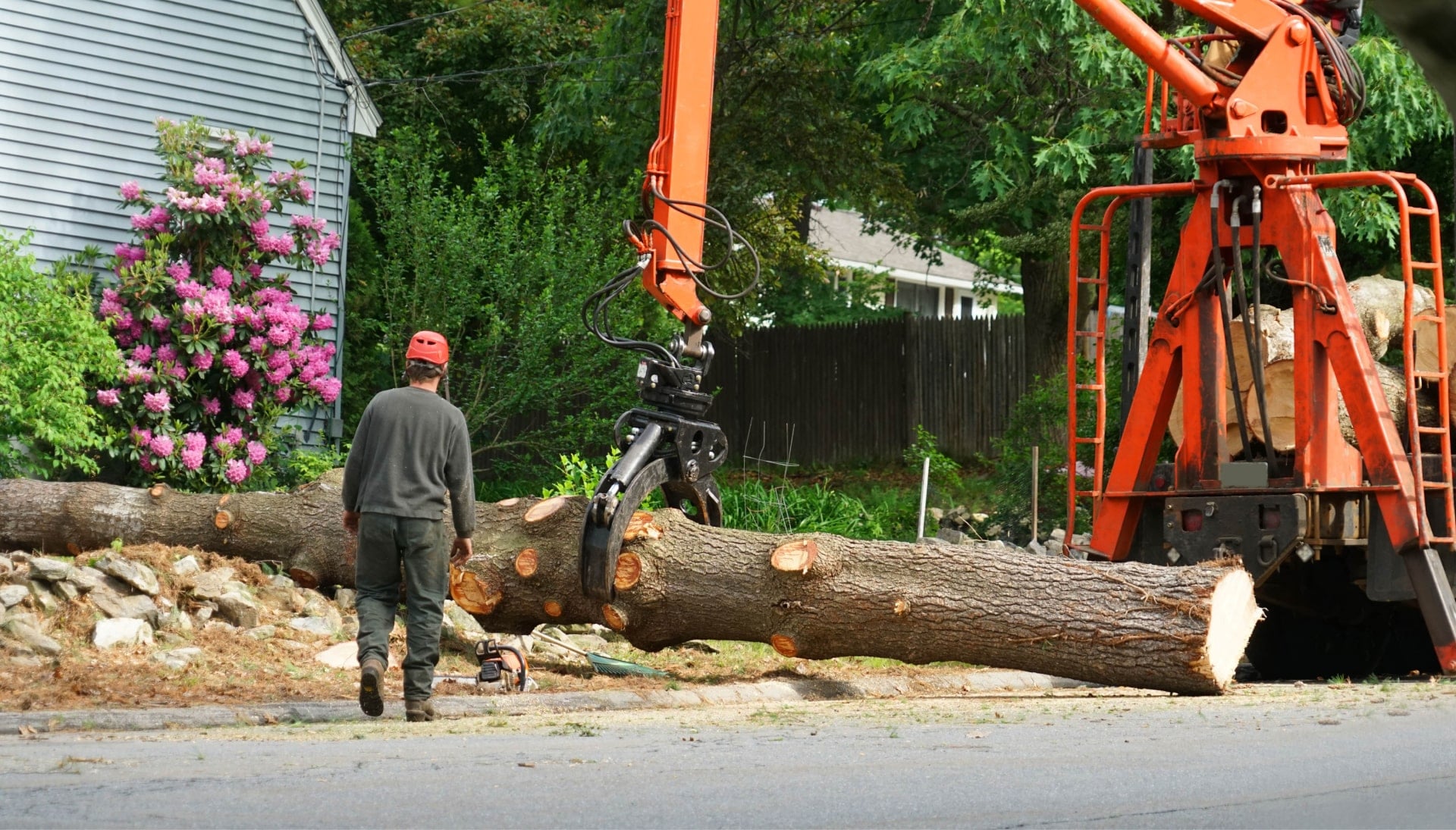 Local partner for Tree removal services in Lynchburg