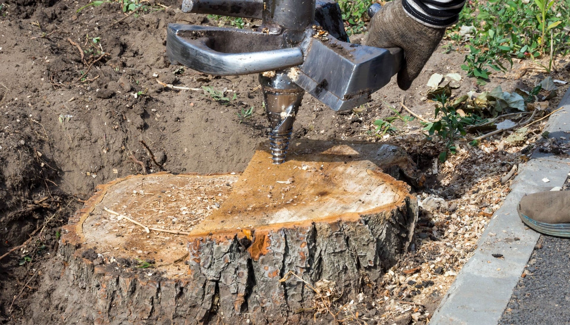 Lynchburg Tree stump removal